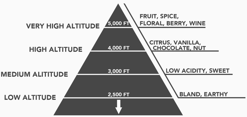 DT Coffee Club via Perfect Daily Grind